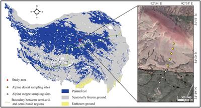 Soil texture and microorganisms dominantly determine the subsoil carbonate content in the permafrost-affected area of the Tibetan Plateau